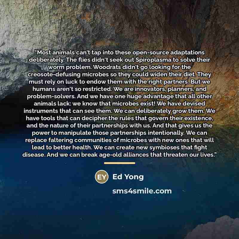 “Most animals can't tap into these open-source adaptations deliberately. The flies didn't seek out Spiroplasma to solve their worm problem. Woodrats didn't go looking for the creosote-defusing microbes so they could widen their diet. They must rely on luck to endow them with the right partners. But…” quote by Ed Yong