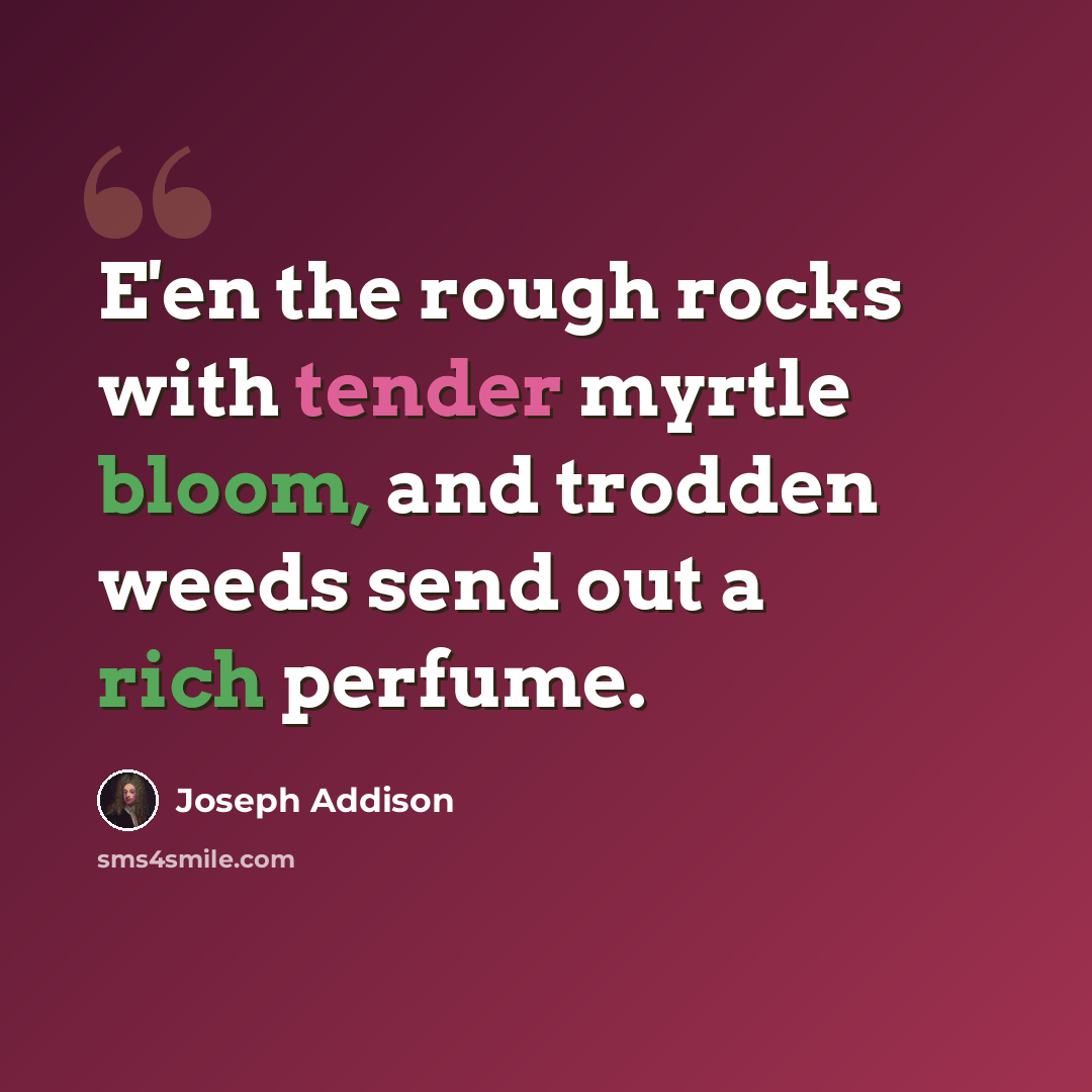 “E'en the rough rocks with tender myrtle bloom, and trodden weeds send out a rich perfume.” quote by Joseph Addison