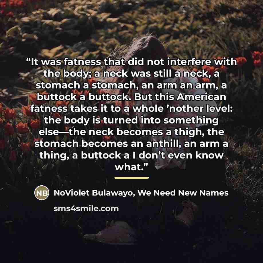 “It was fatness that did not interfere with the body; a neck was still a neck, a stomach a stomach, an arm an arm, a buttock a buttock. But this American fatness takes it to a whole ’nother level: the body is turned into something else—the neck becomes a thigh, the stomach becomes an anthill, an…” quote by NoViolet Bulawayo, We Need New Names