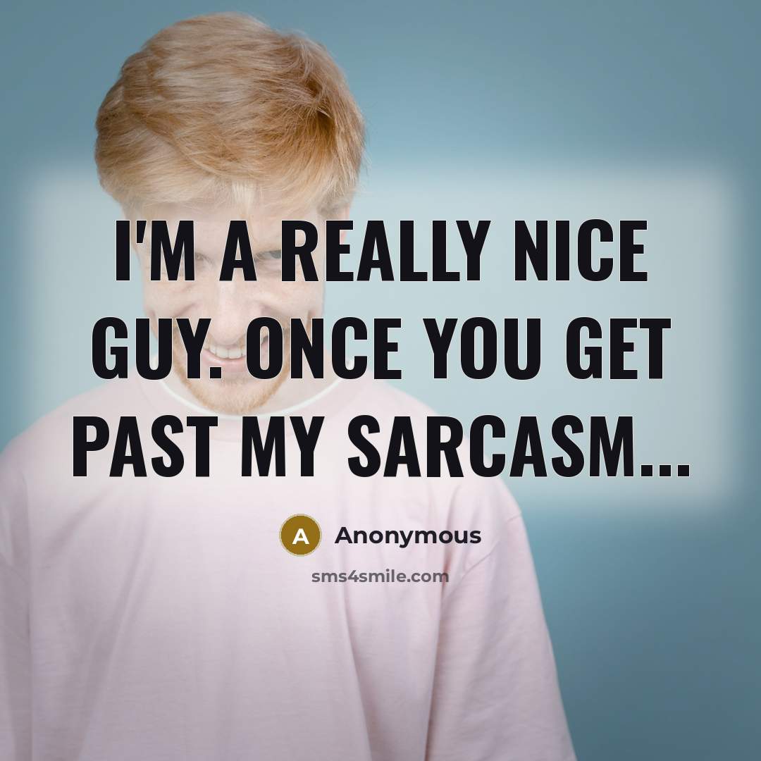 “I'm a really nice guy. once you get past my sarcasm...” quote by Anonymous