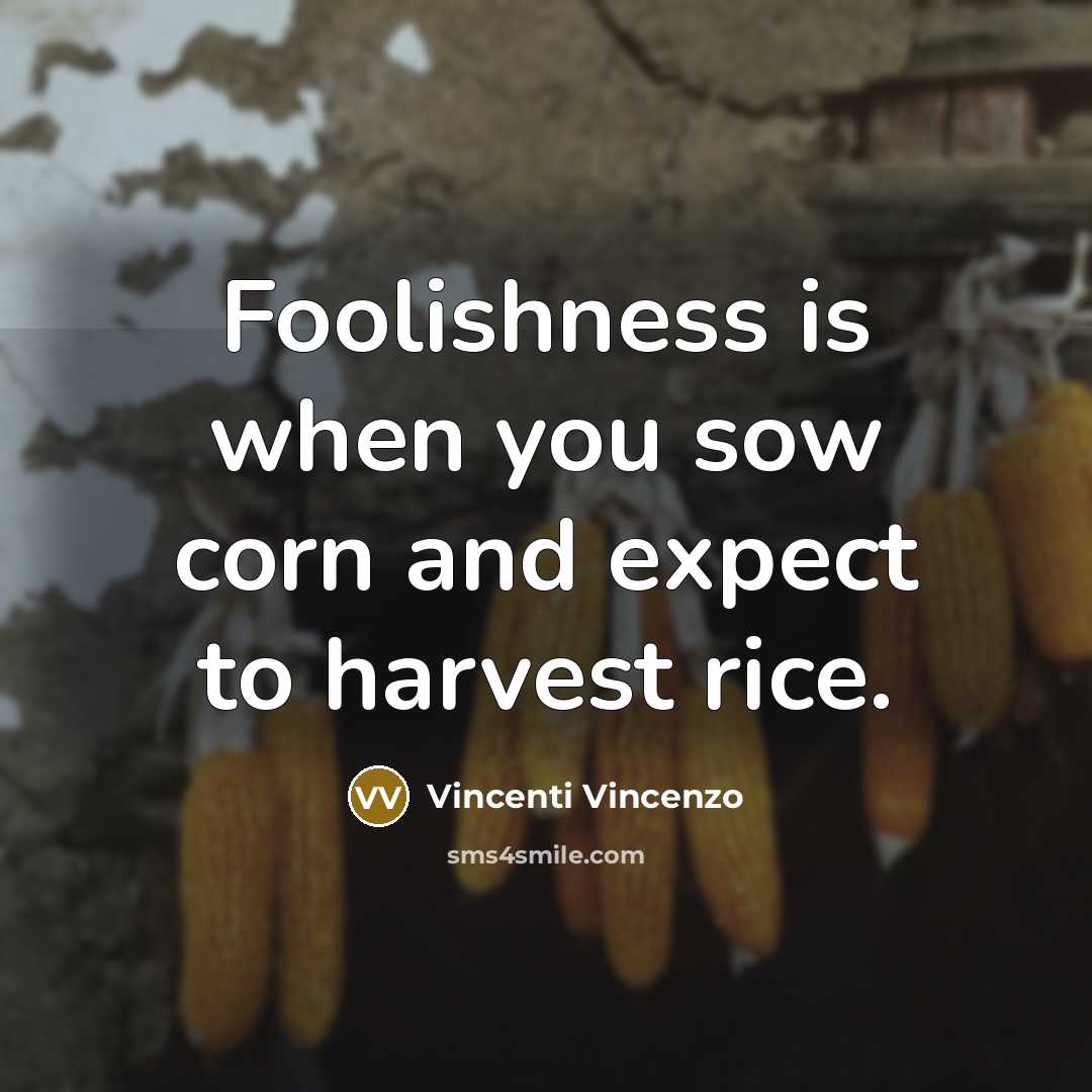 “Foolishness is when you sow corn and expect to harvest rice.” quote by Vincenti Vincenzo