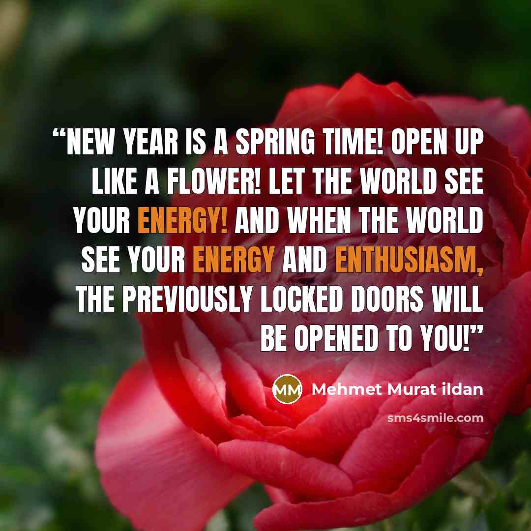 “New Year is a spring time! Open up like a flower! Let the world see your energy! And when the world see your energy and enthusiasm, the previously locked doors will be opened to you!” quote by Mehmet Murat ildan