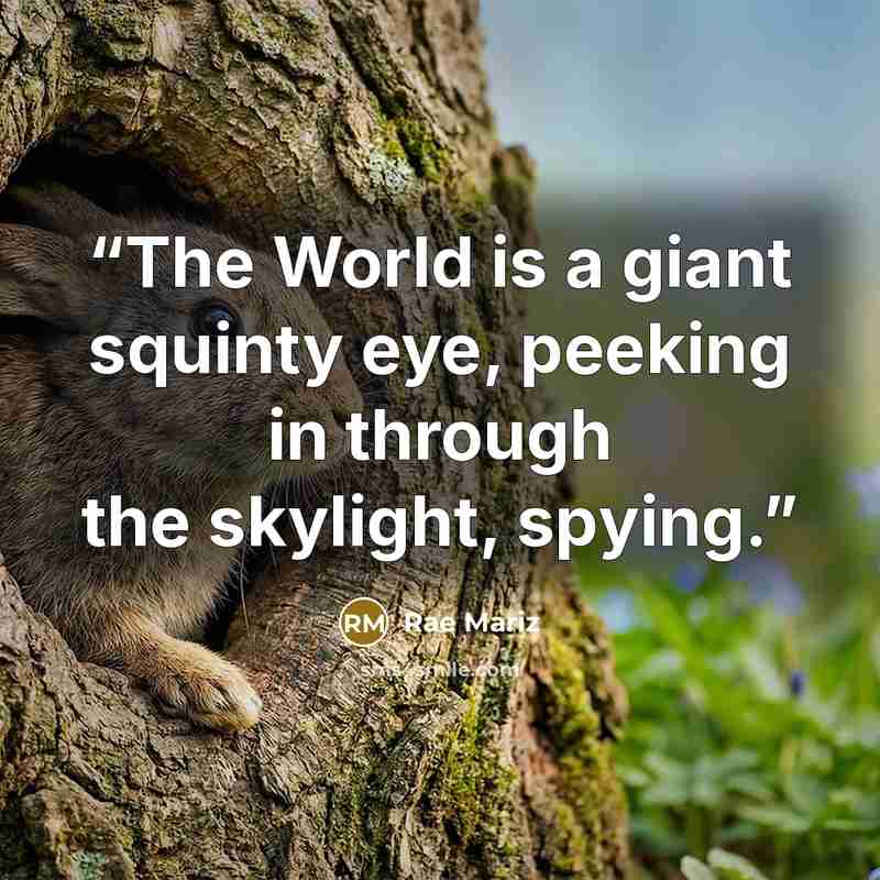 “The World is a giant squinty eye, peeking in through the skylight, spying.” quote by Rae Mariz