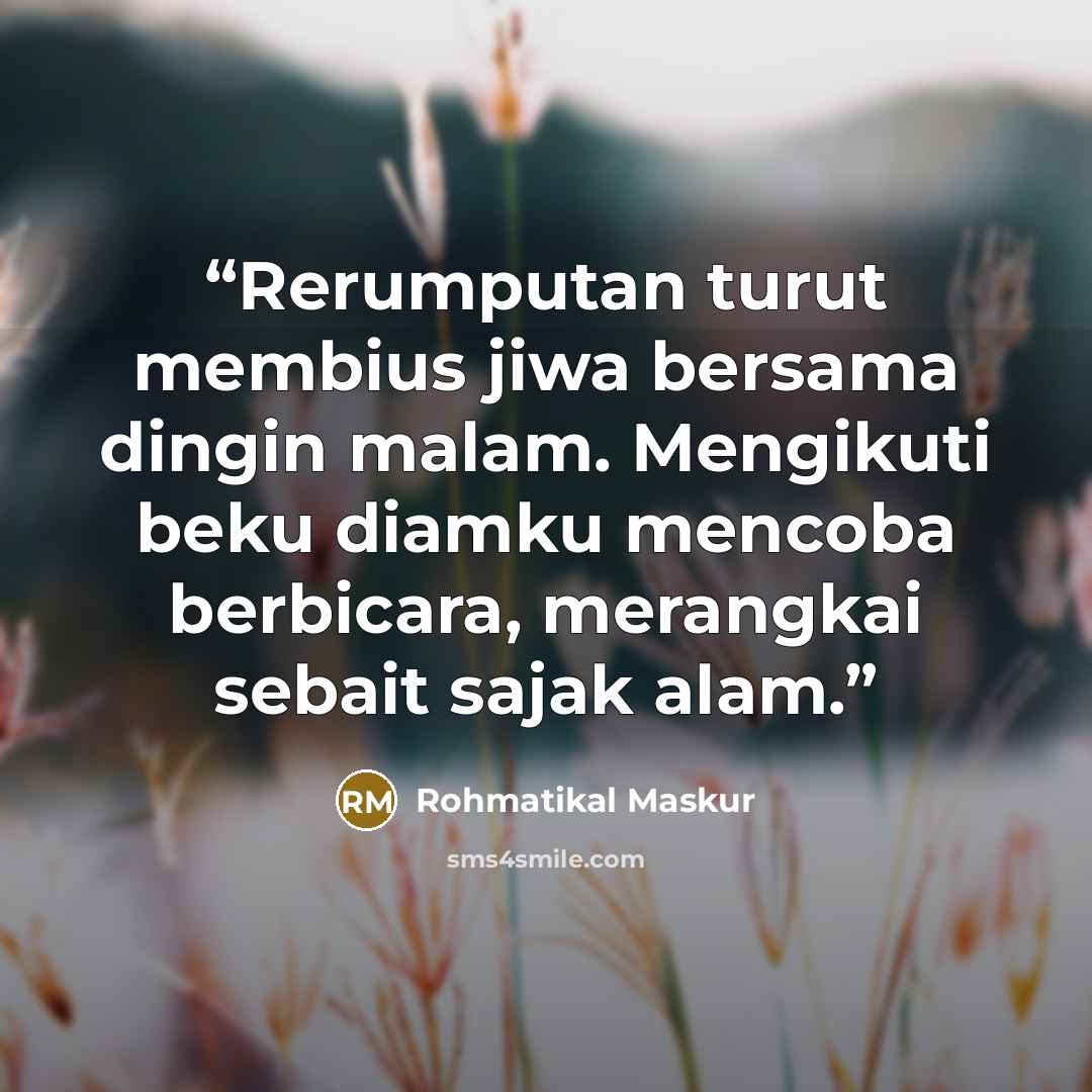 “Rerumputan turut membius jiwa bersama dingin malam. Mengikuti beku diamku mencoba berbicara, merangkai sebait sajak alam.” quote by Rohmatikal Maskur