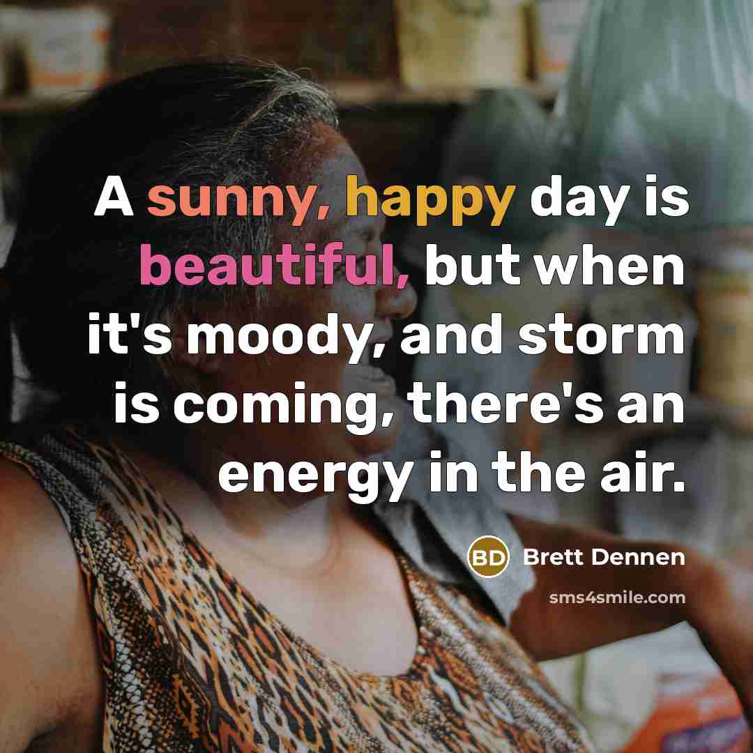 “A sunny, happy day is beautiful, but when it's moody, and storm is coming, there's an energy in the air.” quote by Brett Dennen