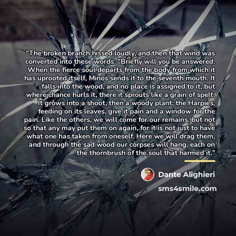 “The broken branch hissed loudly, and then that wind was converted into these words: "Briefly will you be answered. When the fierce soul departs from the body from which it has uprooted itself, Minos sends it to the seventh mouth. It falls into the wood, and no place is assigned to it, but where…” quote by Dante Alighieri