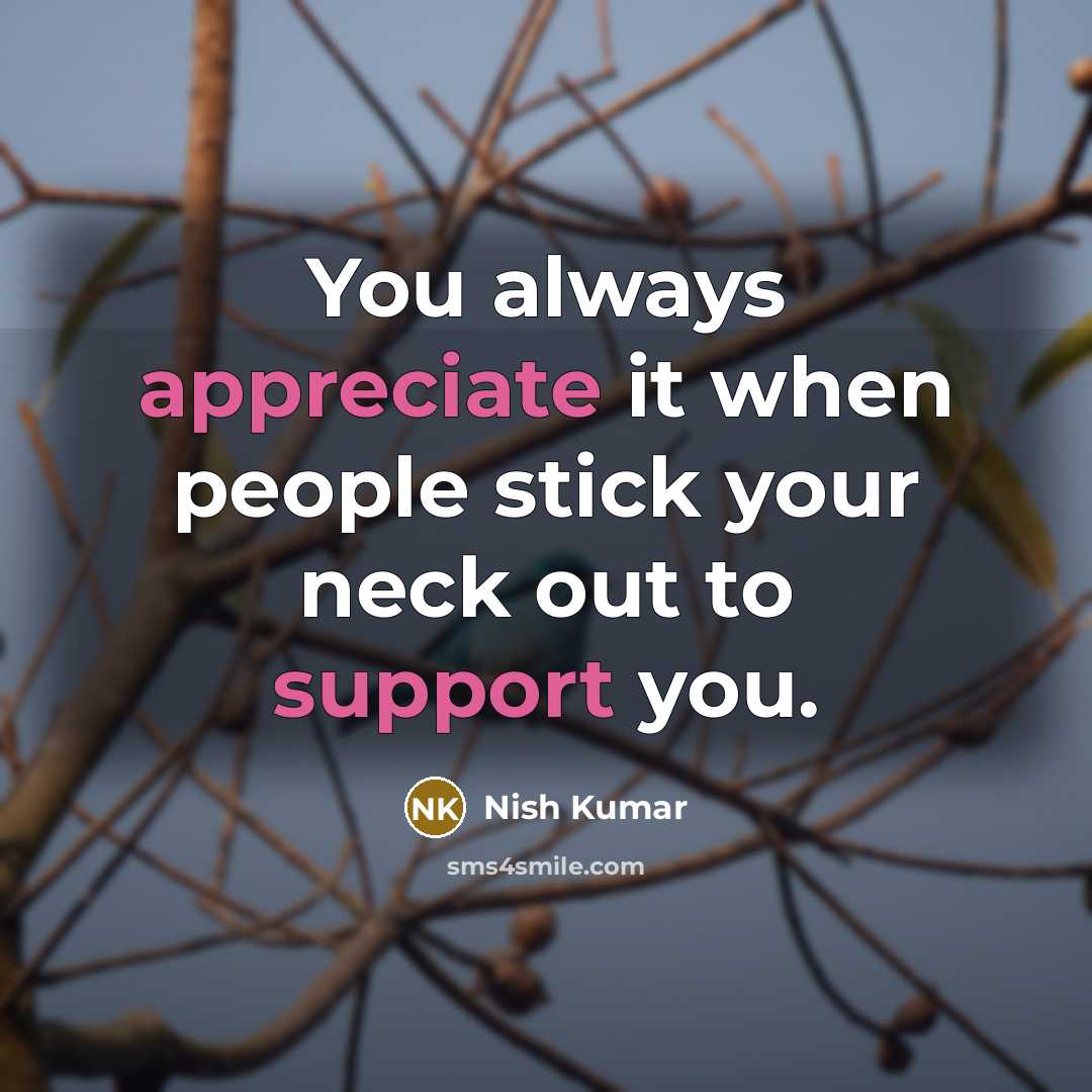 “You always appreciate it when people stick your neck out to support you.” quote by Nish Kumar
