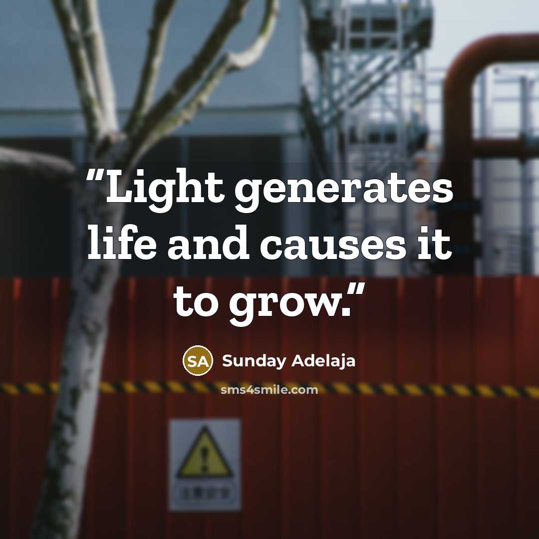 “Light generates life and causes it to grow.” quote by Sunday Adelaja
