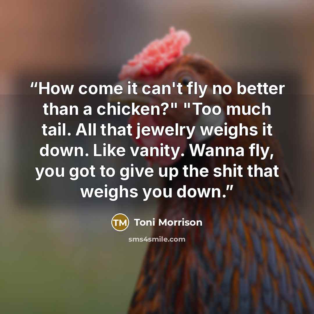 “How come it can't fly no better than a chicken?" "Too much tail. All that jewelry weighs it down. Like vanity. Wanna fly, you got to give up the shit that weighs you down.” quote by Toni Morrison