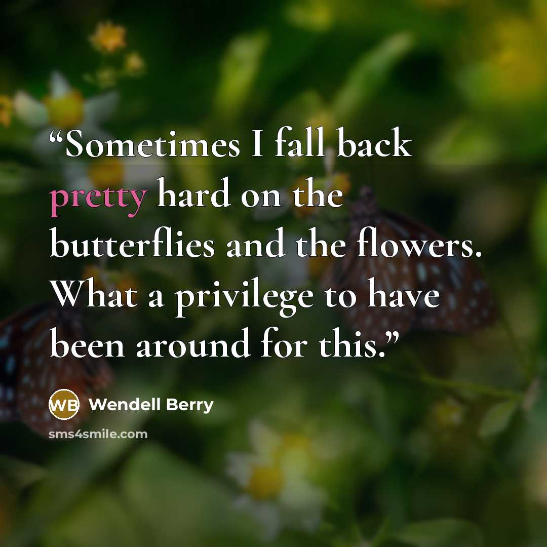 “Sometimes I fall back pretty hard on the butterflies and the flowers. What a privilege to have been around for this.” quote by Wendell Berry