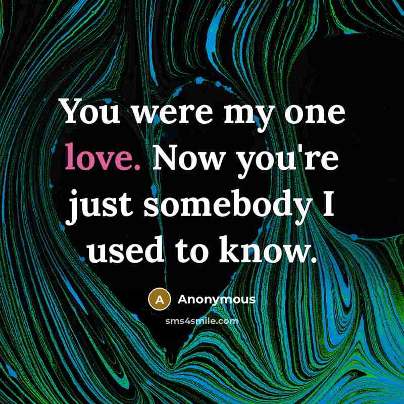 “You were my one love. Now you're just somebody I used to know.” quote by Anonymous