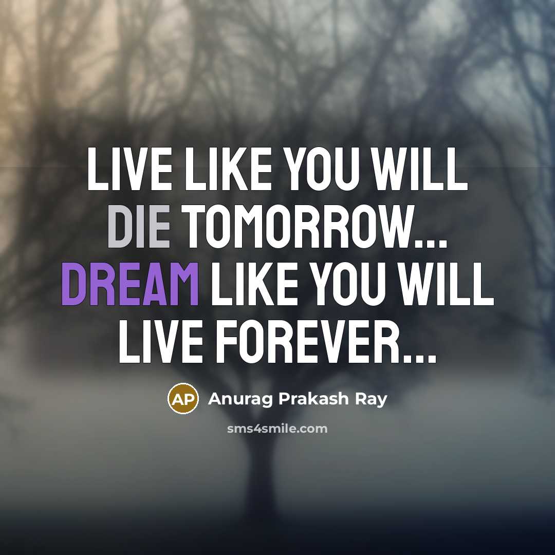 “Live like you will die tomorrow… Dream like you will live forever...” quote by Anurag Prakash Ray