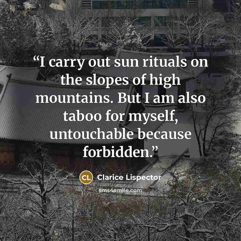 “I carry out sun rituals on the slopes of high mountains. But I am also taboo for myself, untouchable because forbidden.” quote by Clarice Lispector
