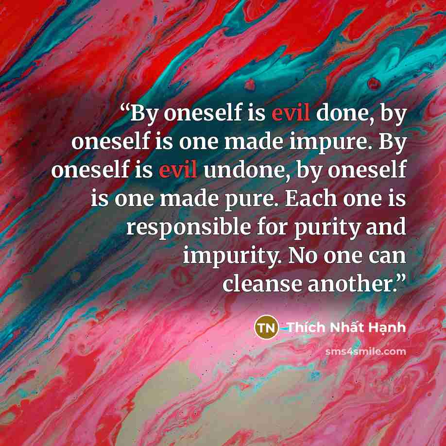 “By oneself is evil done, by oneself is one made impure. By oneself is evil undone, by oneself is one made pure. Each one is responsible for purity and impurity. No one can cleanse another.” quote by Thích Nhất Hạnh