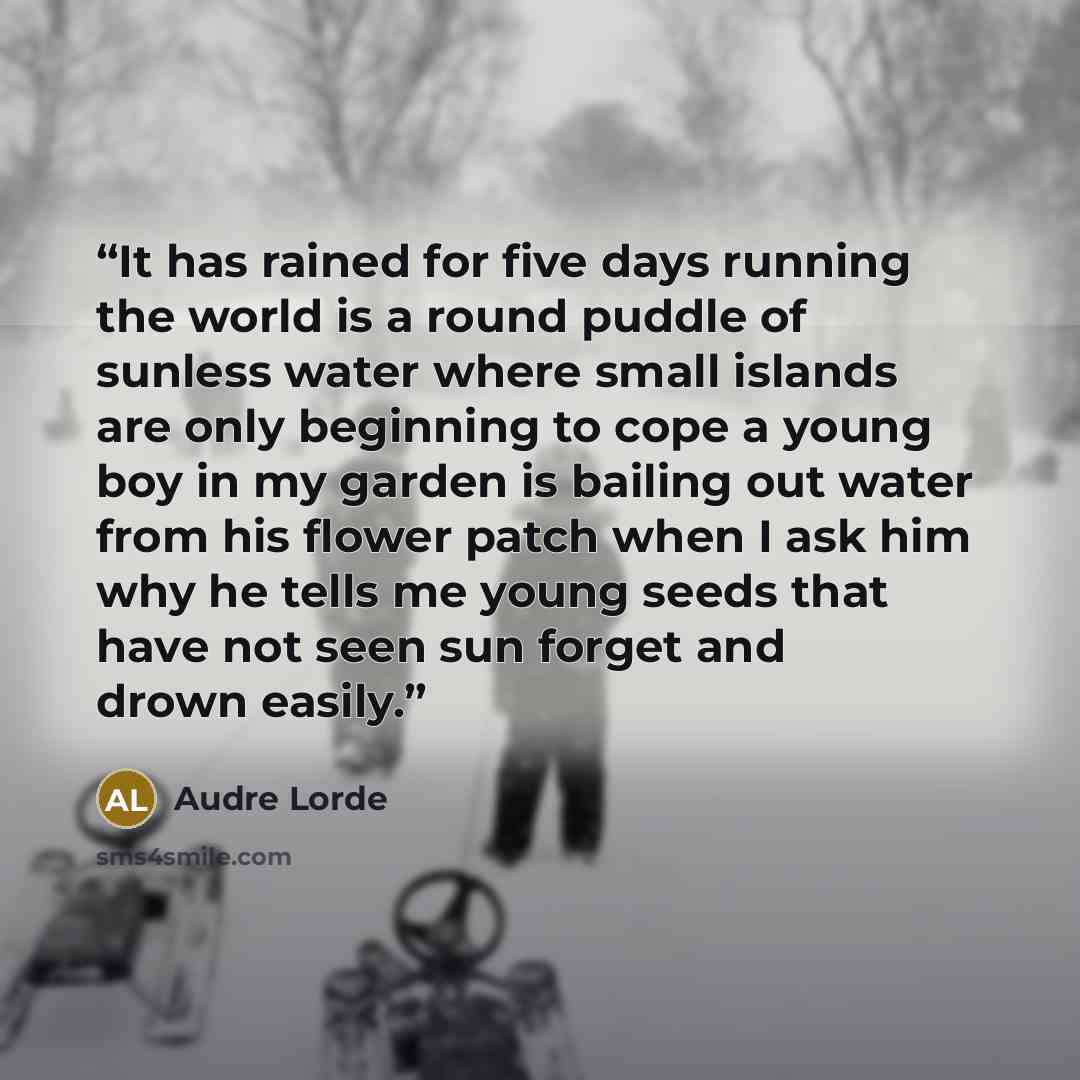“It has rained for five days running the world is a round puddle of sunless water where small islands are only beginning to cope a young boy in my garden is bailing out water from his flower patch when I ask him why he tells me young seeds that have not seen sun forget and drown easily.” quote by Audre Lorde