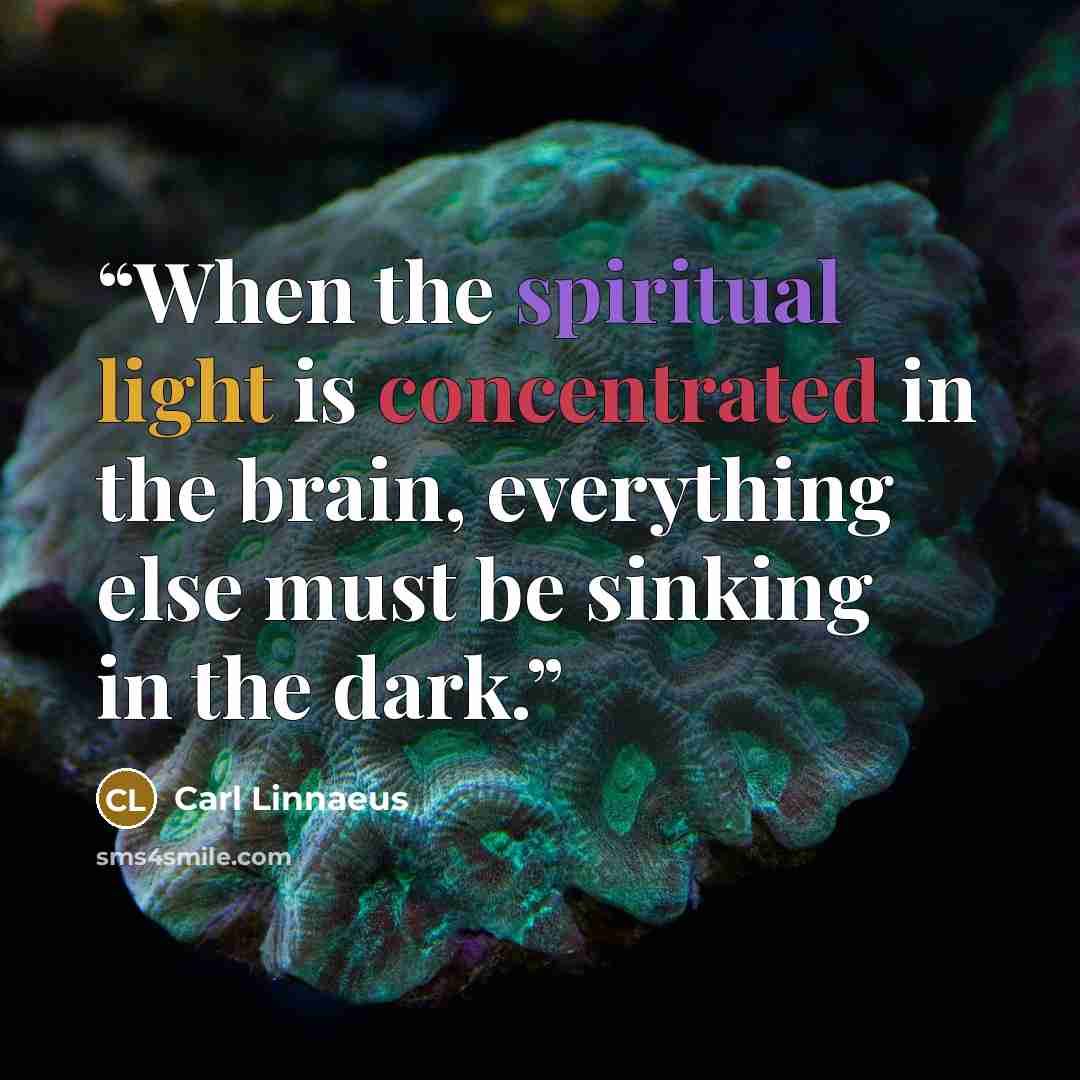 “When the spiritual light is concentrated in the brain, everything else must be sinking in the dark.” quote by Carl Linnaeus