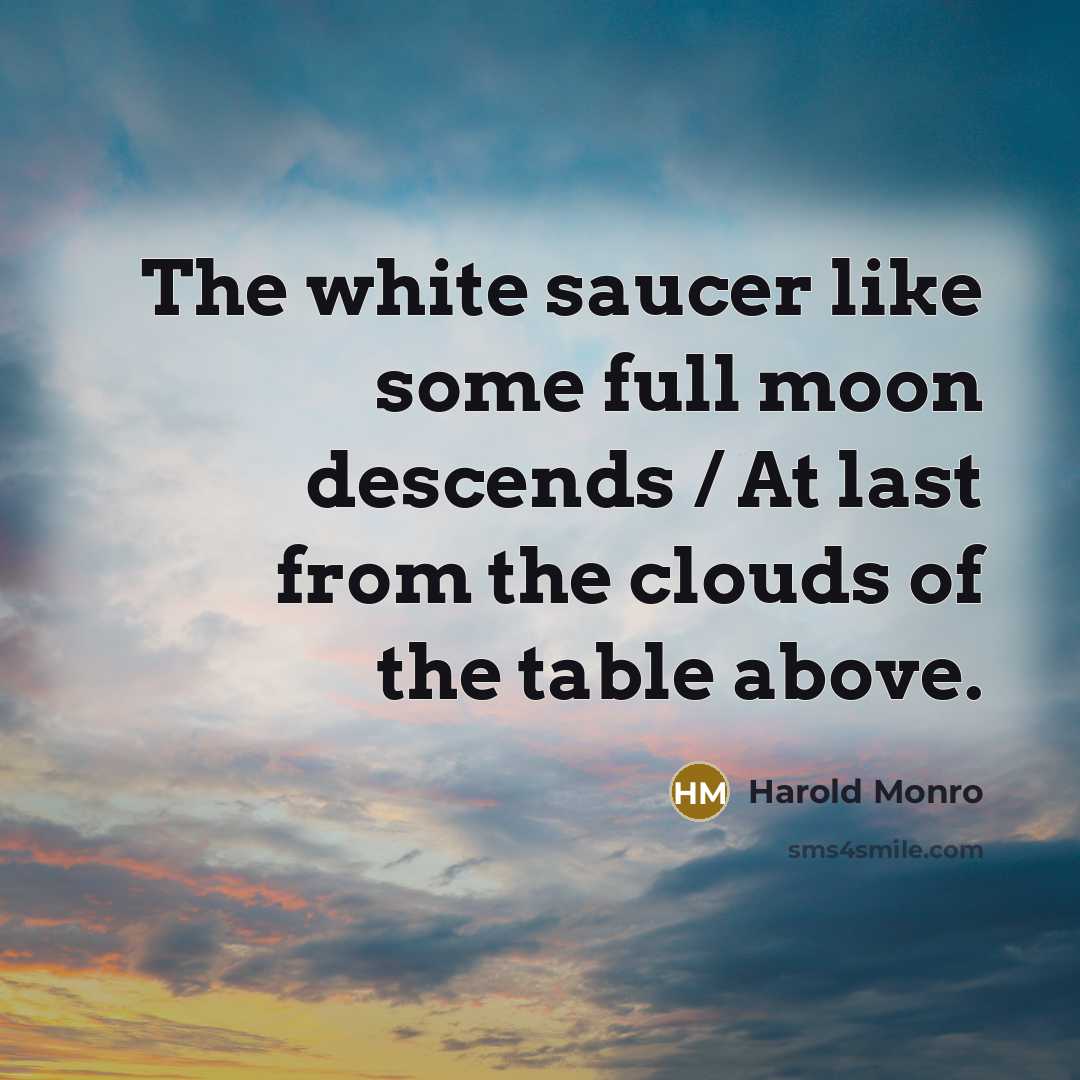 “The white saucer like some full moon descends / At last from the clouds of the table above.” quote by Harold Monro