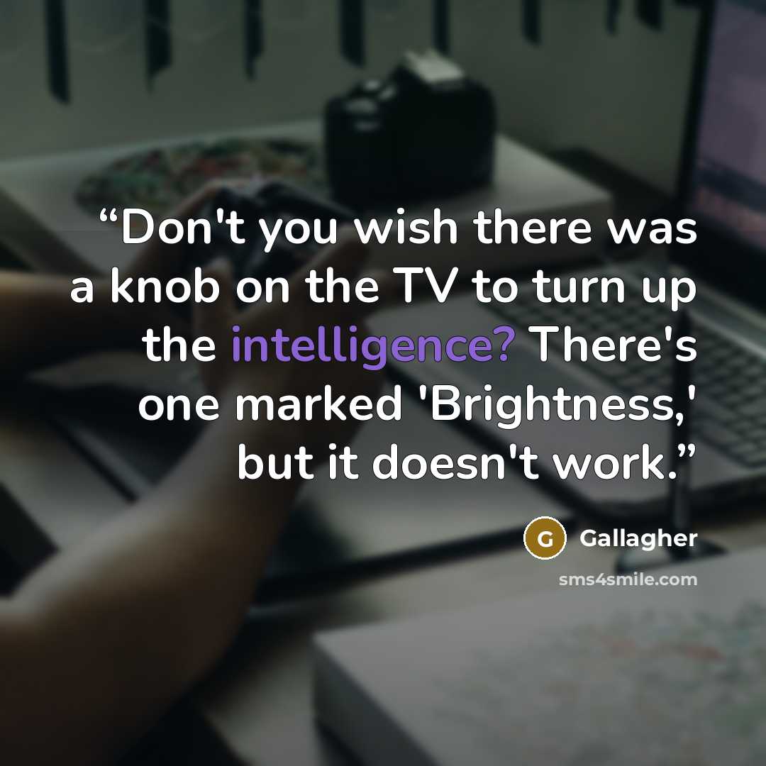 “Don't you wish there was a knob on the TV to turn up the intelligence? There's one marked 'Brightness,' but it doesn't work.” quote by Gallagher