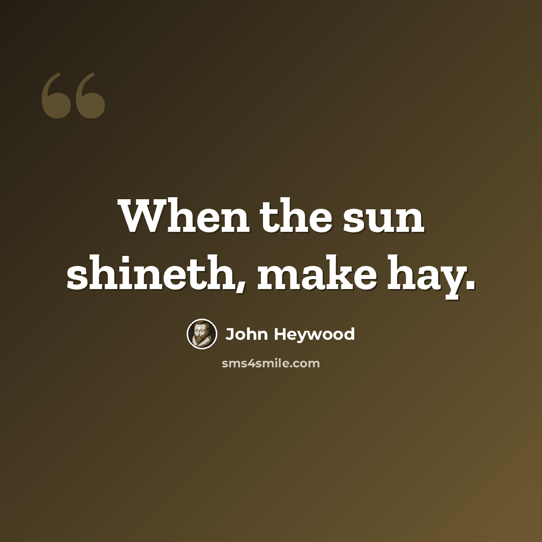 “When the sun shineth, make hay.” quote by John Heywood
