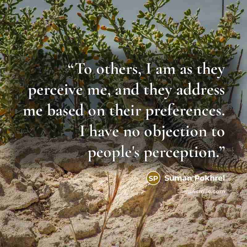 “To others, I am as they perceive me, and they address me based on their preferences. I have no objection to people's perception.” quote by Suman Pokhrel