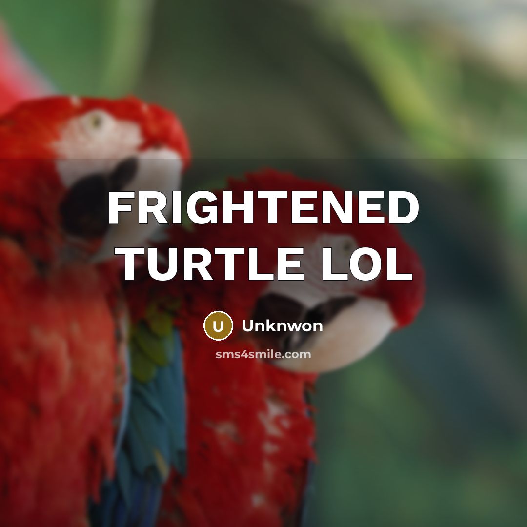 “FRIGHTENED TURTLE LOL” quote by Unknwon