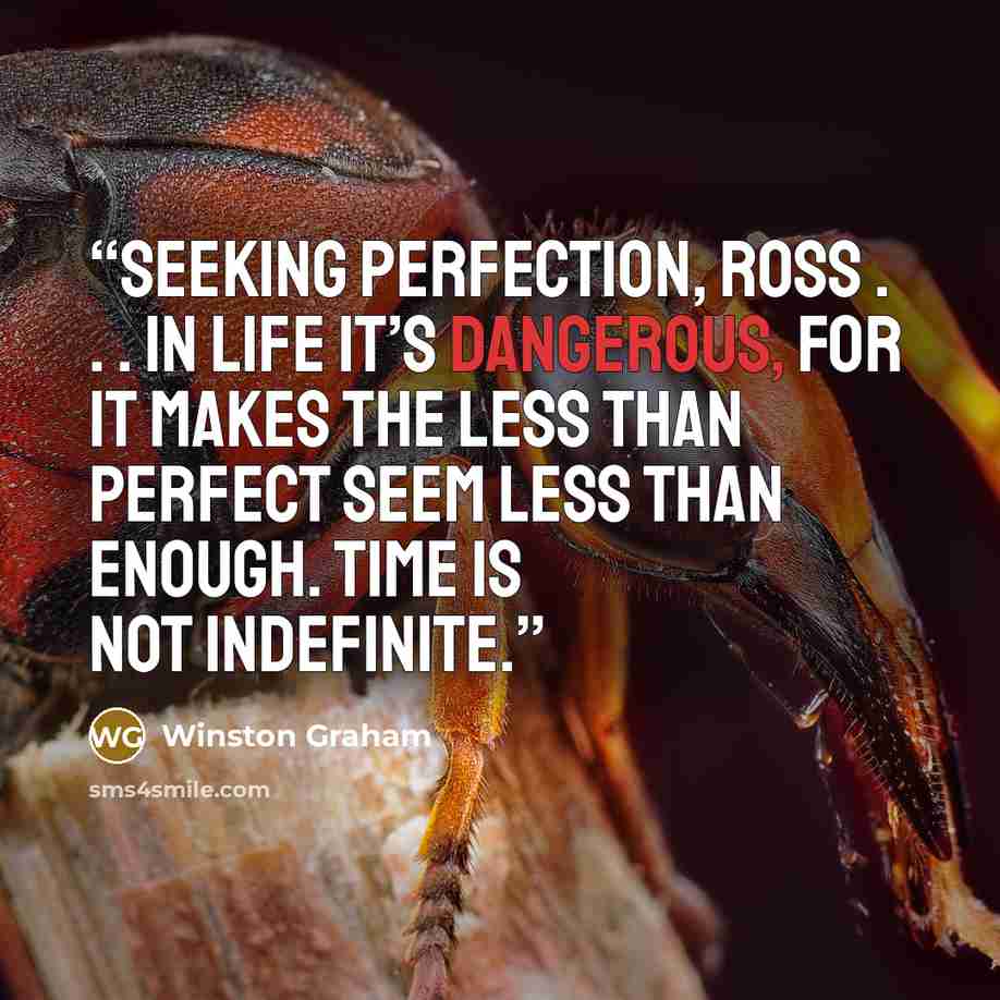 “Seeking perfection, Ross . . . in life it’s dangerous, for it makes the less than perfect seem less than enough. Time is not indefinite.” quote by Winston Graham