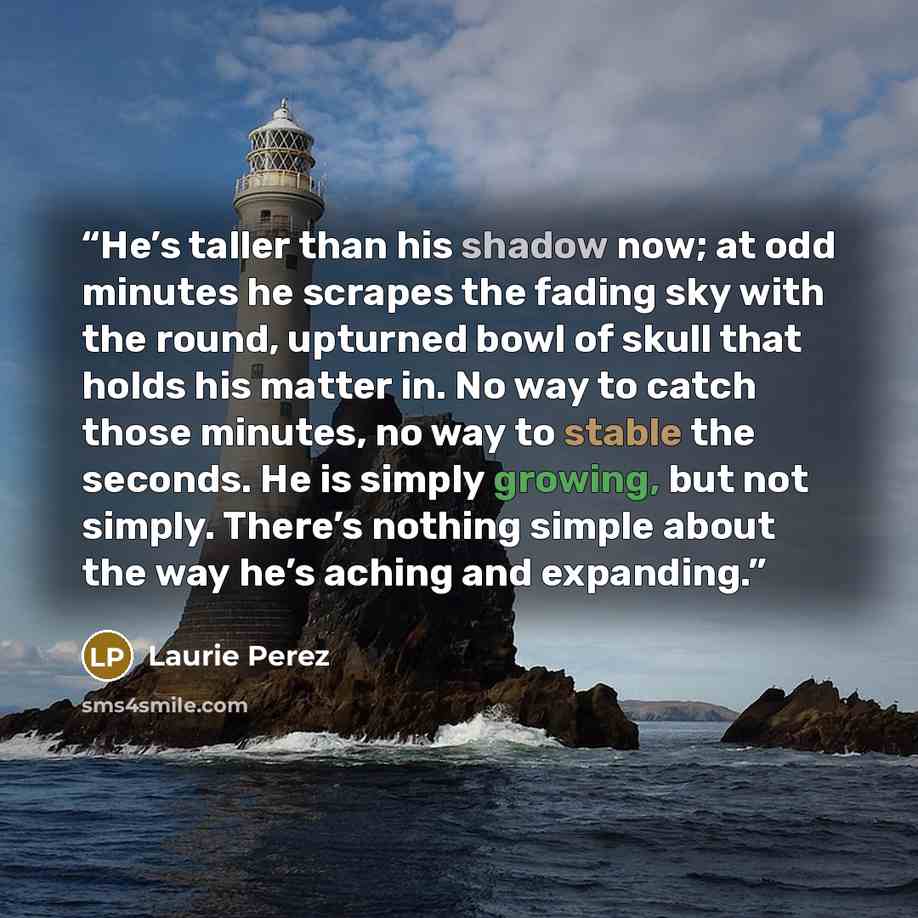 “He’s taller than his shadow now; at odd minutes he scrapes the fading sky with the round, upturned bowl of skull that holds his matter in. No way to catch those minutes, no way to stable the seconds. He is simply growing, but not simply. There’s nothing simple about the way he’s aching and…” quote by Laurie Perez