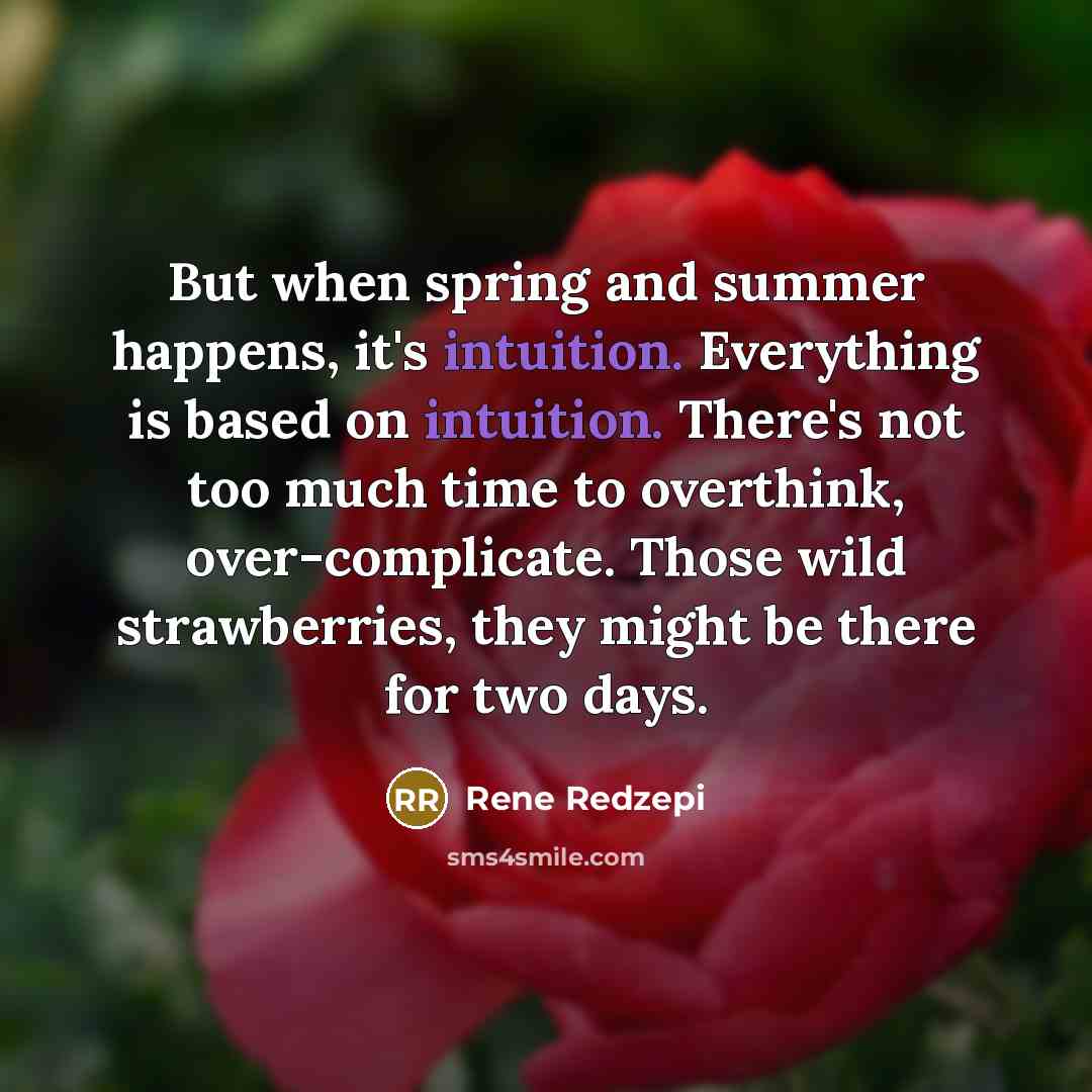 “But when spring and summer happens, it's intuition. Everything is based on intuition. There's not too much time to overthink, over-complicate. Those wild strawberries, they might be there for two days.” quote by Rene Redzepi