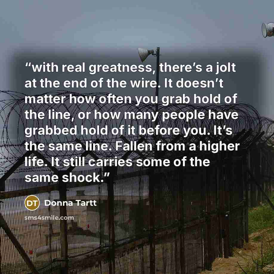 “with real greatness, there’s a jolt at the end of the wire. It doesn’t matter how often you grab hold of the line, or how many people have grabbed hold of it before you. It’s the same line. Fallen from a higher life. It still carries some of the same shock.” quote by Donna Tartt
