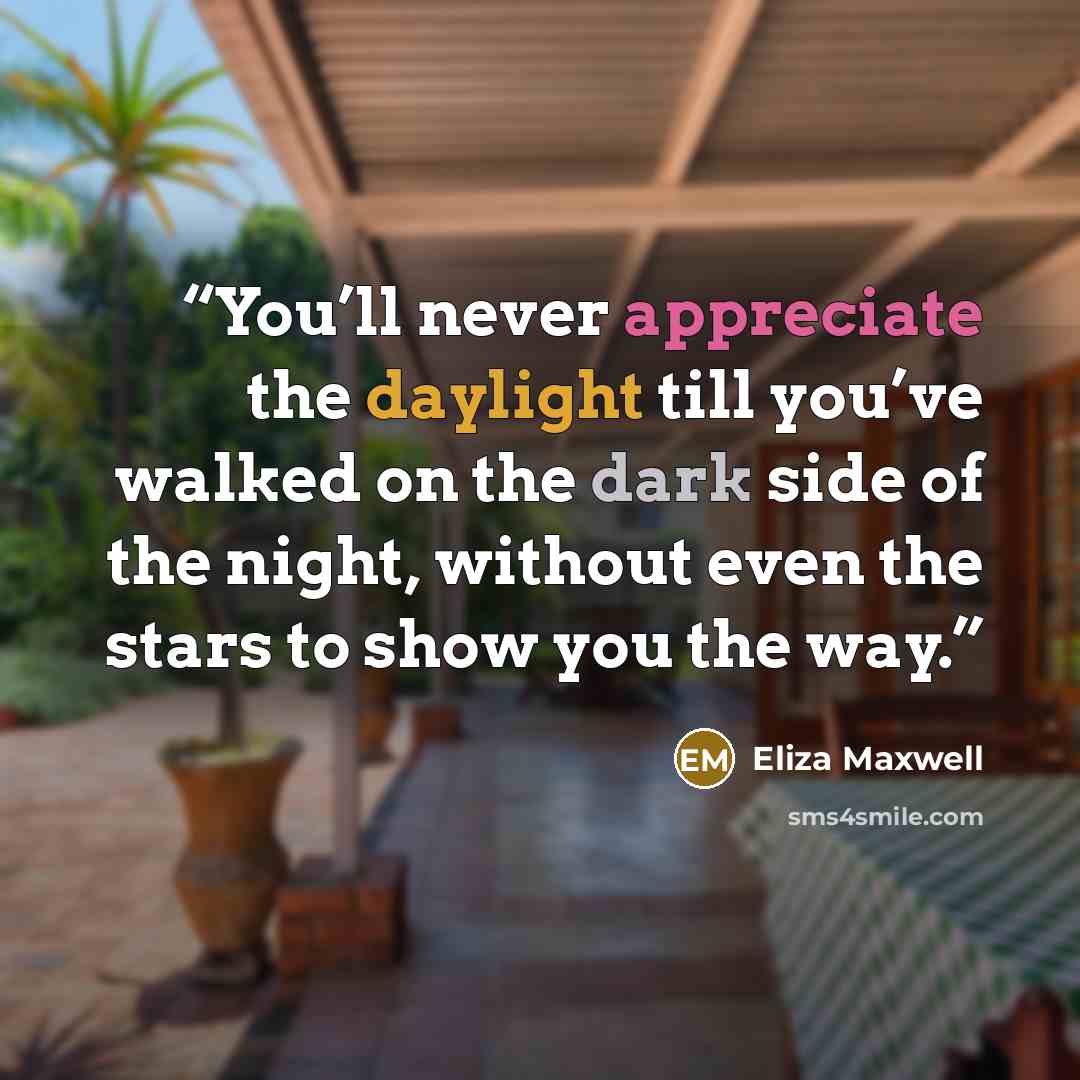 “You’ll never appreciate the daylight till you’ve walked on the dark side of the night, without even the stars to show you the way.” quote by Eliza Maxwell