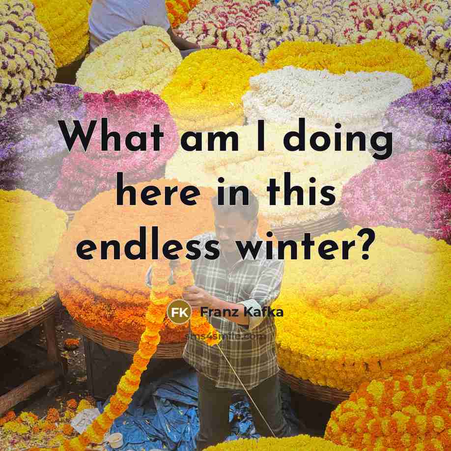 “What am I doing here in this endless winter?” quote by Franz Kafka
