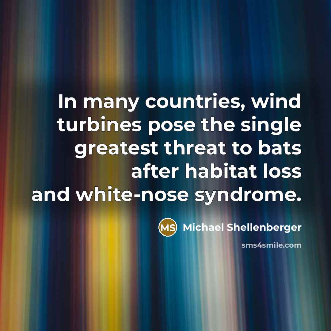 “In many countries, wind turbines pose the single greatest threat to bats after habitat loss and white-nose syndrome.” quote by Michael Shellenberger