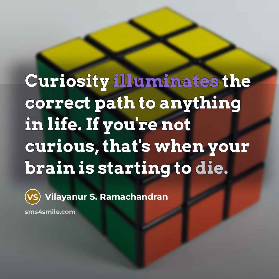 “Curiosity illuminates the correct path to anything in life. If you're not curious, that's when your brain is starting to die.” quote by Vilayanur S. Ramachandran