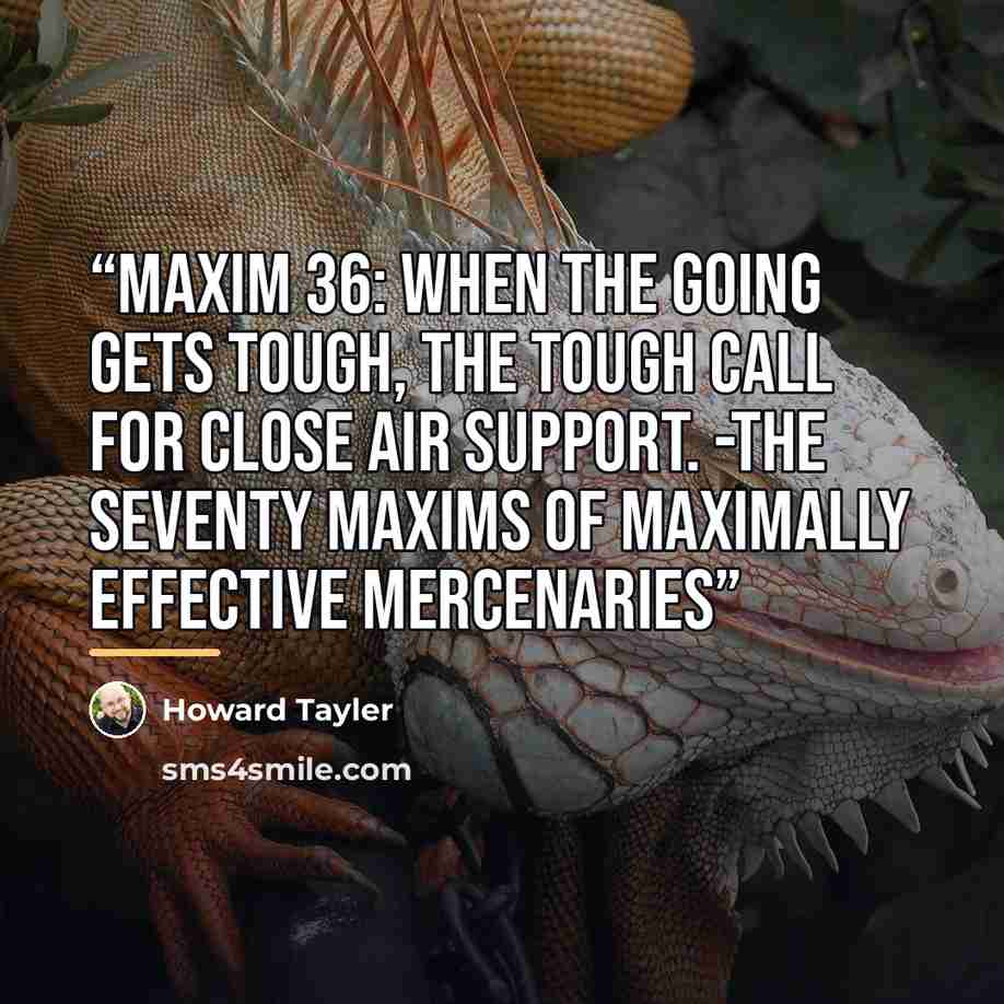 “Maxim 36: When the going gets tough, the tough call for close air support. -The Seventy Maxims of Maximally Effective Mercenaries” quote by Howard Tayler