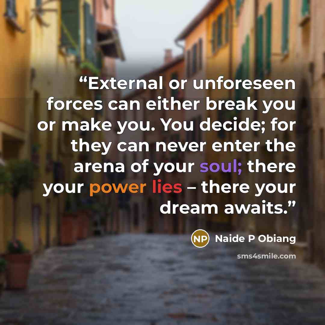 “External or unforeseen forces can either break you or make you. You decide; for they can never enter the arena of your soul; there your power lies – there your dream awaits.” quote by Naide P Obiang