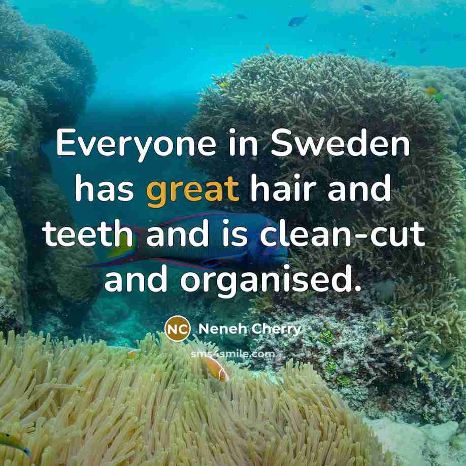 “Everyone in Sweden has great hair and teeth and is clean-cut and organised.” quote by Neneh Cherry