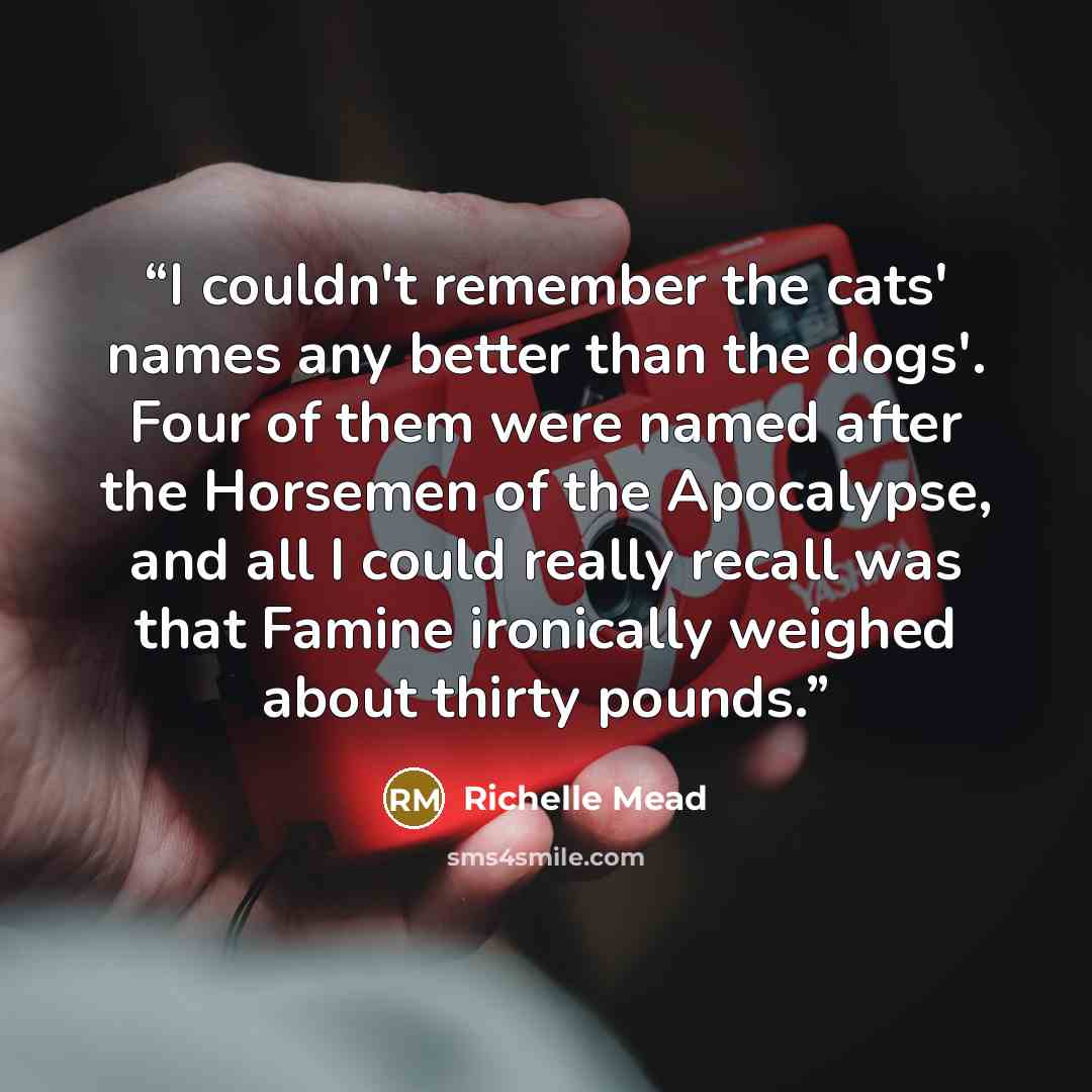 “I couldn't remember the cats' names any better than the dogs'. Four of them were named after the Horsemen of the Apocalypse, and all I could really recall was that Famine ironically weighed about thirty pounds.” quote by Richelle Mead