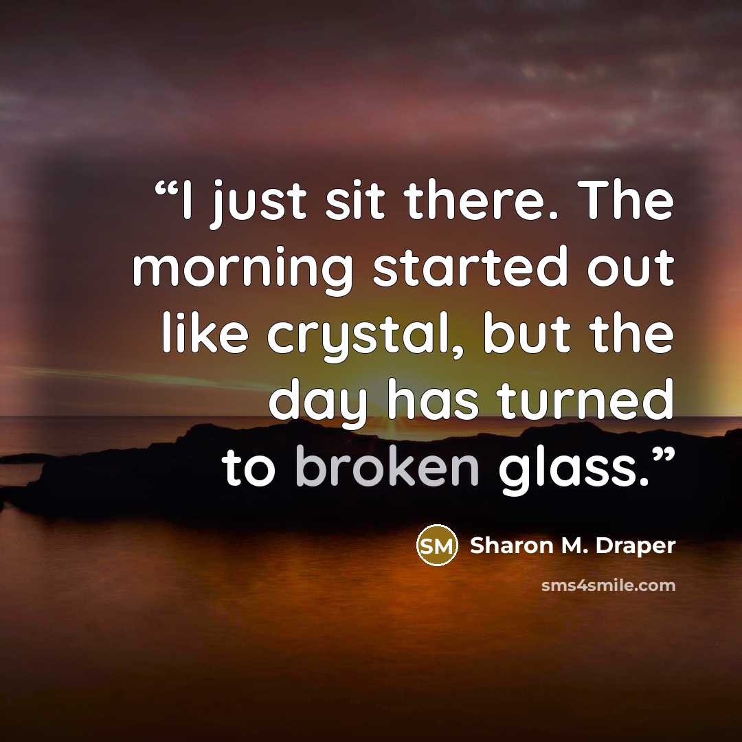 “I just sit there. The morning started out like crystal, but the day has turned to broken glass.” quote by Sharon M. Draper