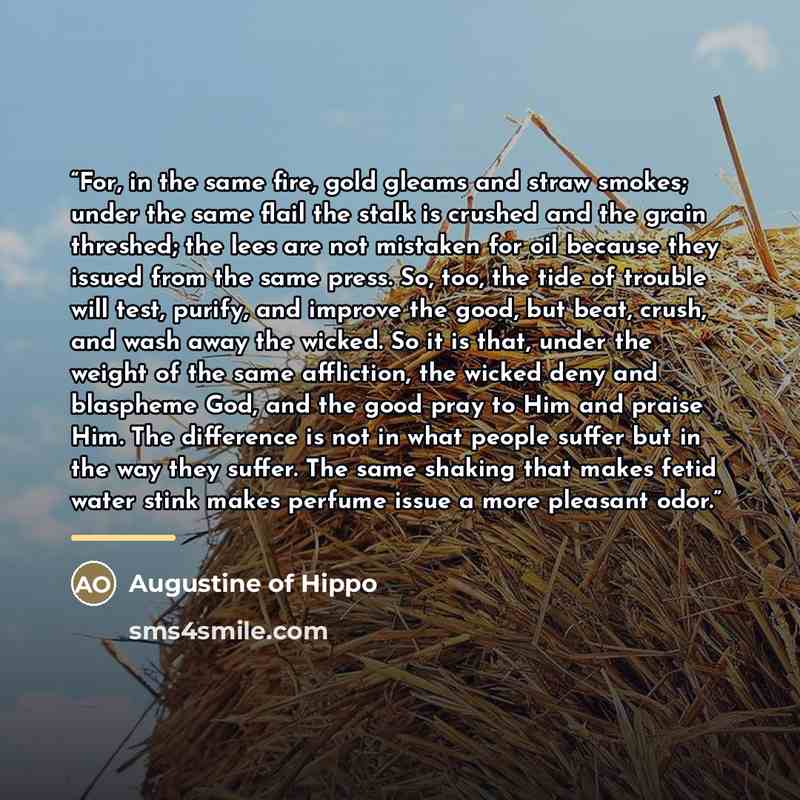 “For, in the same fire, gold gleams and straw smokes; under the same flail the stalk is crushed and the grain threshed; the lees are not mistaken for oil because they issued from the same press. So, too, the tide of trouble will test, purify, and improve the good, but beat, crush, and wash away the…” quote by Augustine of Hippo
