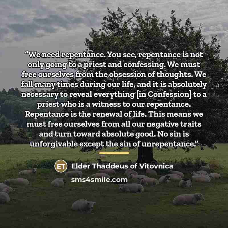 “We need repentance. You see, repentance is not only going to a priest and confessing. We must free ourselves from the obsession of thoughts. We fall many times during our life, and it is absolutely necessary to reveal everything [in Confession] to a priest who is a witness to our repentance…” quote by Elder Thaddeus of Vitovnica