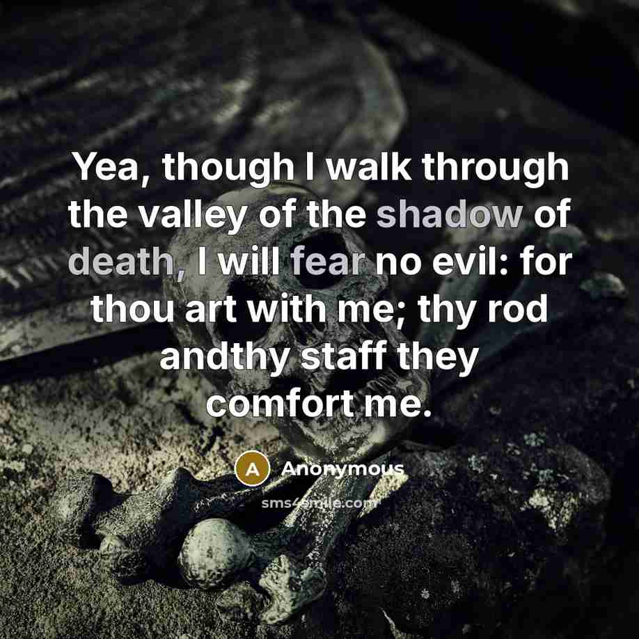 “Yea, though I walk through the valley of the shadow of death, I will fear no evil: for thou art with me; thy rod andthy staff they comfort me.” quote by Anonymous