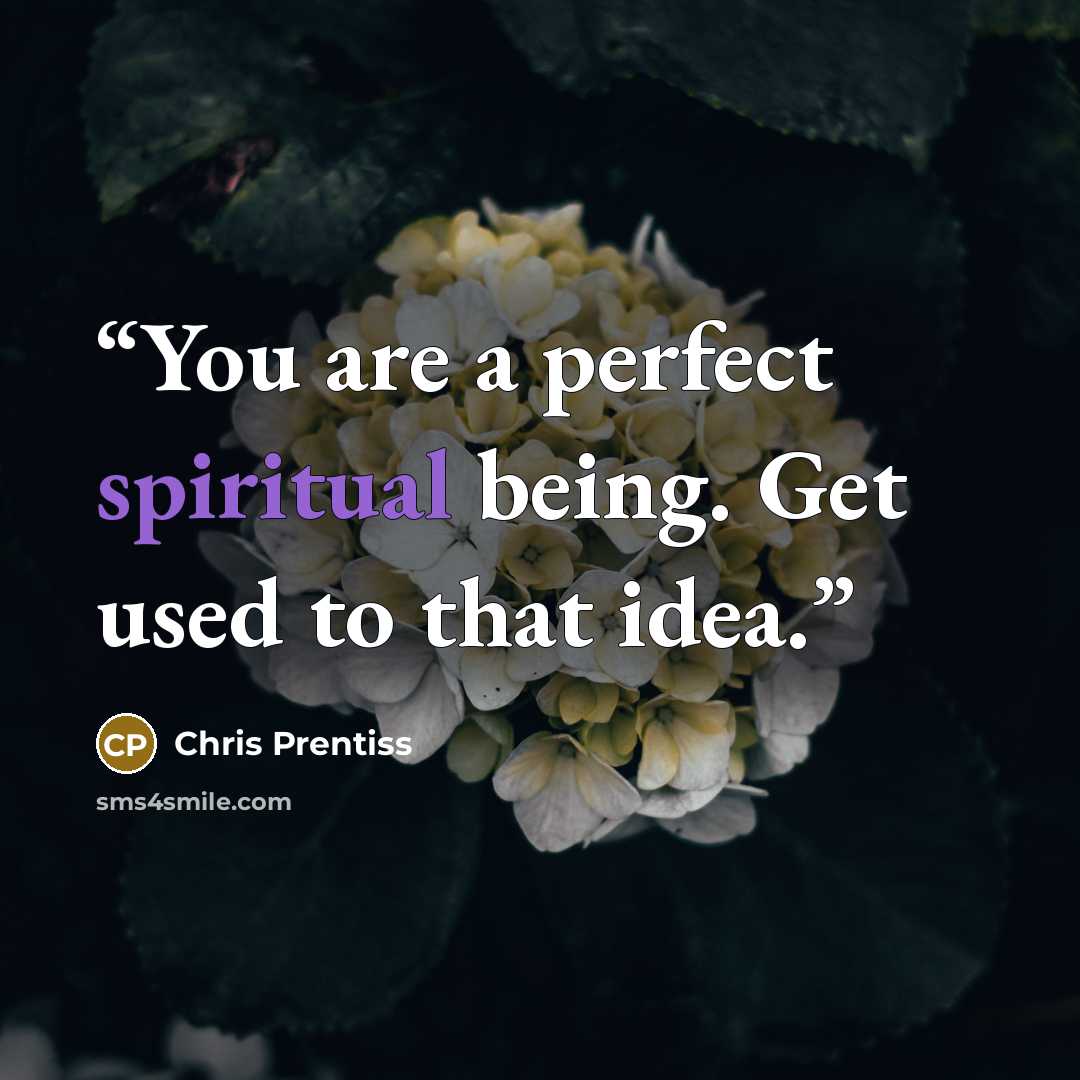 “You are a perfect spiritual being. Get used to that idea.” quote by Chris Prentiss