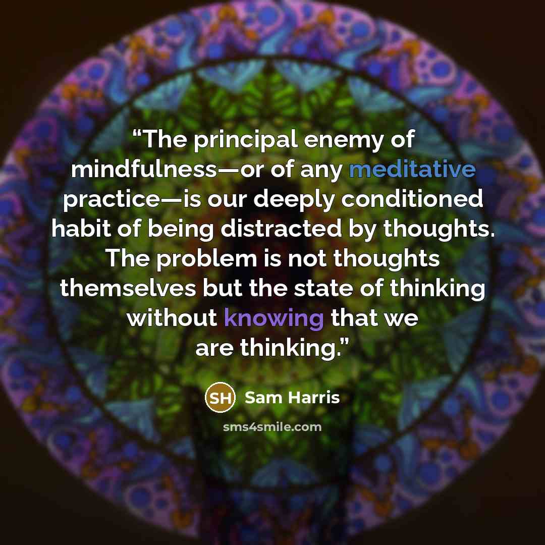 “The principal enemy of mindfulness—or of any meditative practice—is our deeply conditioned habit of being distracted by thoughts. The problem is not thoughts themselves but the state of thinking without knowing that we are thinking.” quote by Sam Harris