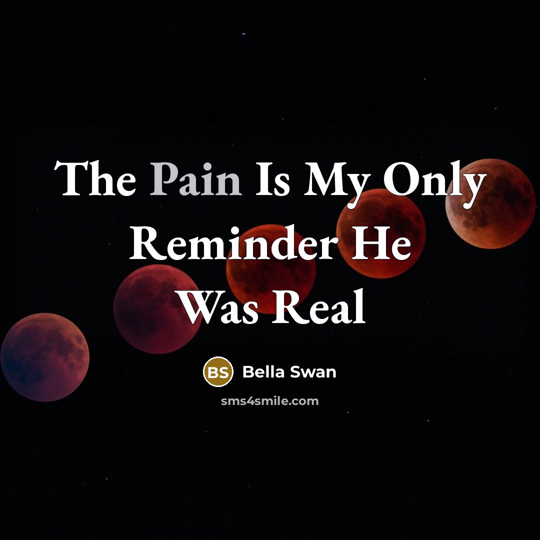 “The Pain Is My Only Reminder He Was Real” quote by Bella Swan