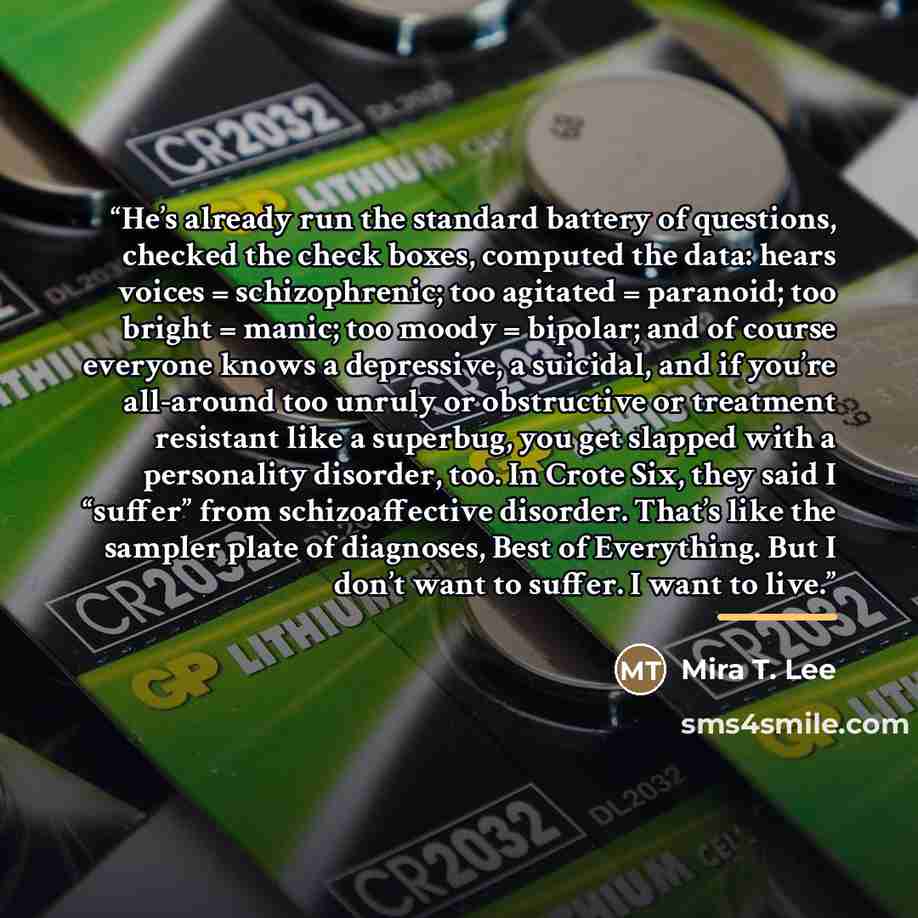 “He’s already run the standard battery of questions, checked the check boxes, computed the data: hears voices = schizophrenic; too agitated = paranoid; too bright = manic; too moody = bipolar; and of course everyone knows a depressive, a suicidal, and if you’re all-around too unruly or obstructive…” quote by Mira T. Lee