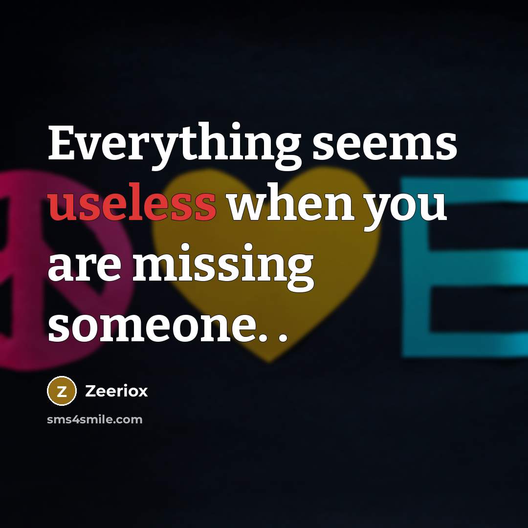 “Everything seems useless when you are missing someone. .” quote by ZeerioX