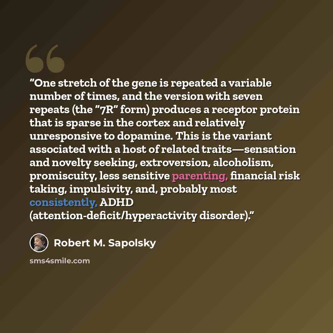 “One stretch of the gene is repeated a variable number of times, and the version with seven repeats (the “7R” form) produces a receptor protein that is sparse in the cortex and relatively unresponsive to dopamine. This is the variant associated with a host of related traits—sensation and novelty…” quote by Robert M. Sapolsky