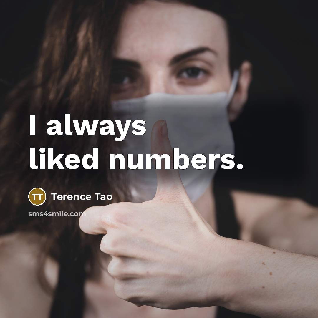 “I always liked numbers.” quote by Terence Tao