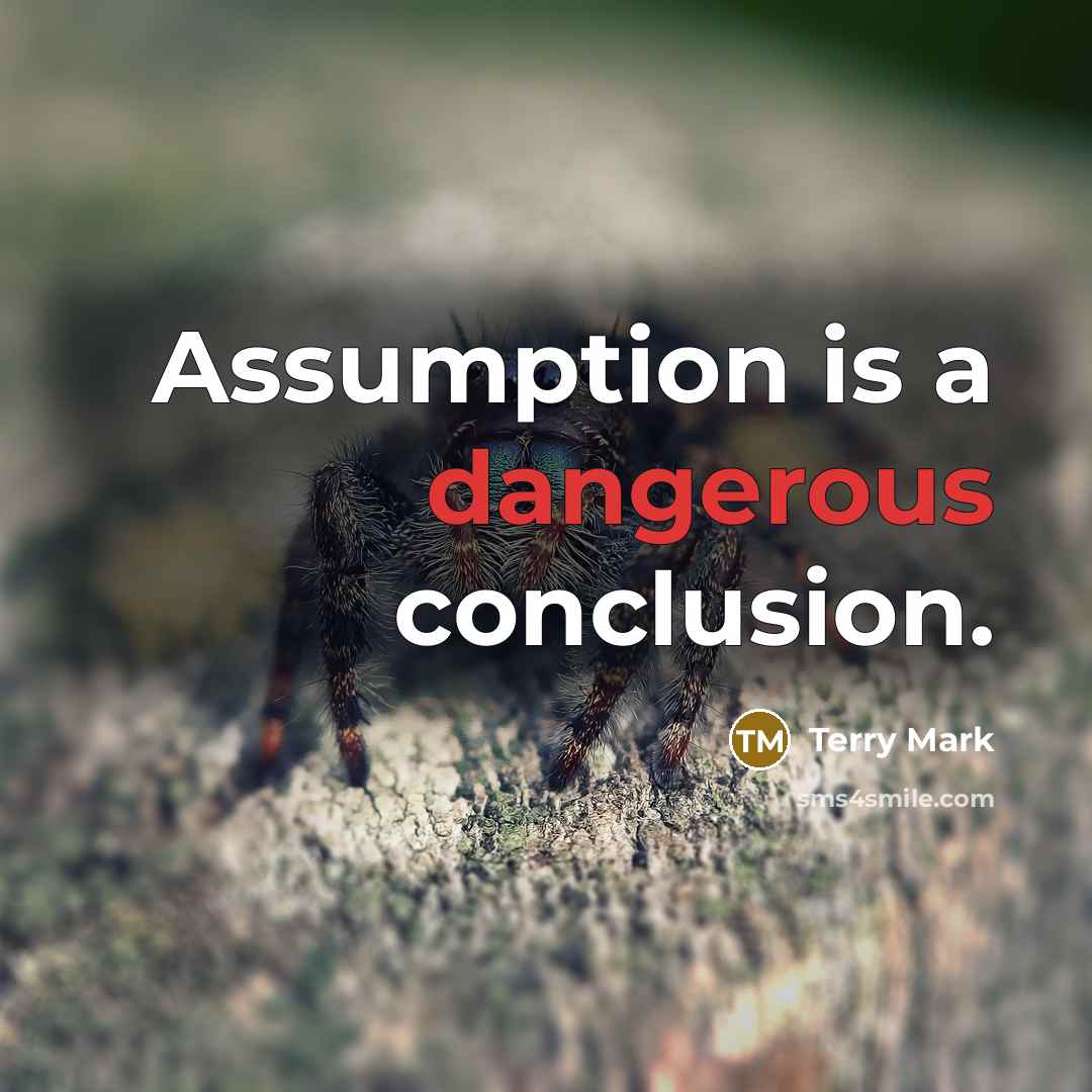 “Assumption is a dangerous conclusion.” quote by Terry Mark