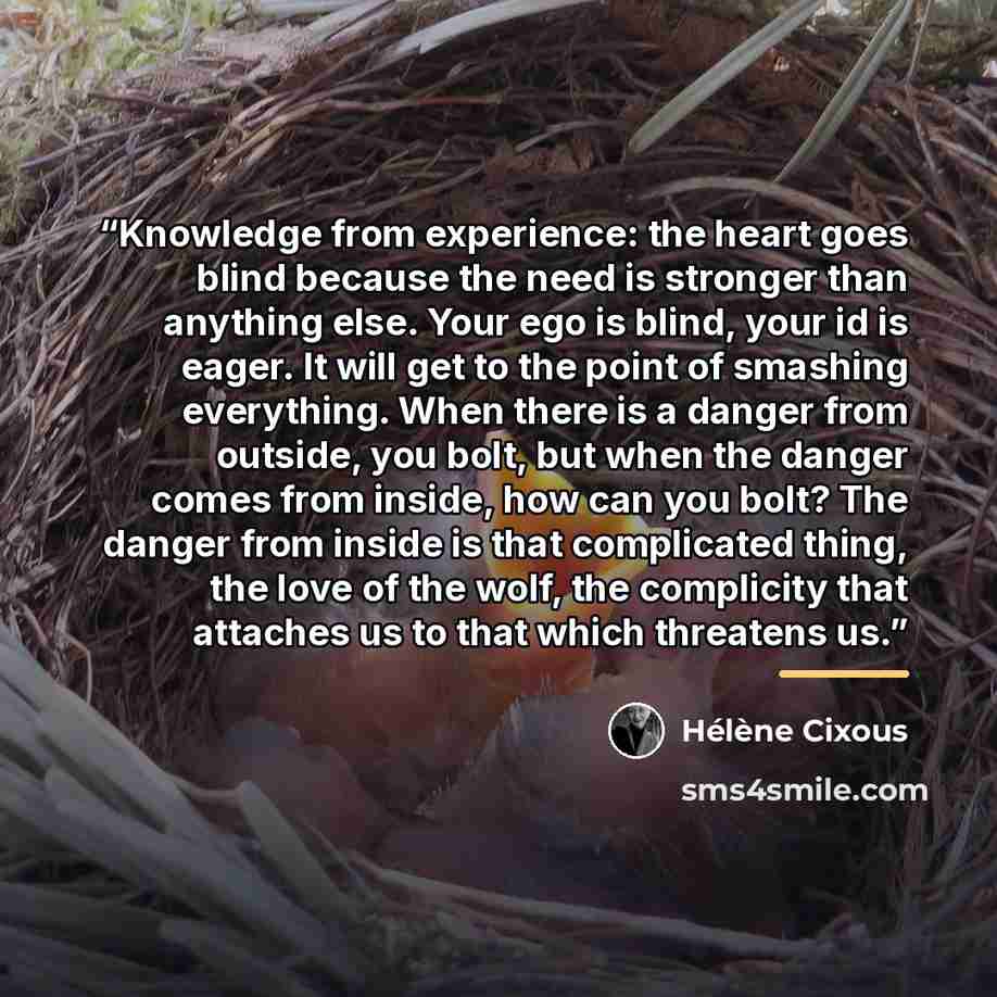 “Knowledge from experience: the heart goes blind because the need is stronger than anything else. Your ego is blind, your id is eager. It will get to the point of smashing everything. When there is a danger from outside, you bolt, but when the danger comes from inside, how can you bolt? The danger…” quote by Hélène Cixous